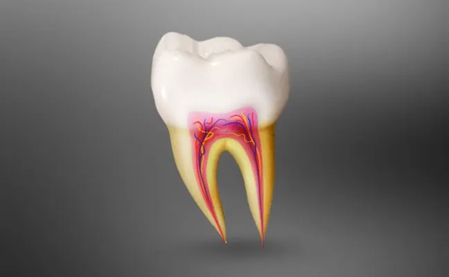 Root Canals Treatment in Grand Prairie