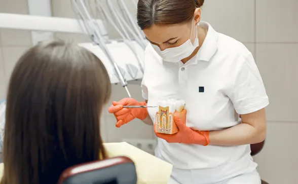 Procedure of Root Canals in Grand Prairie